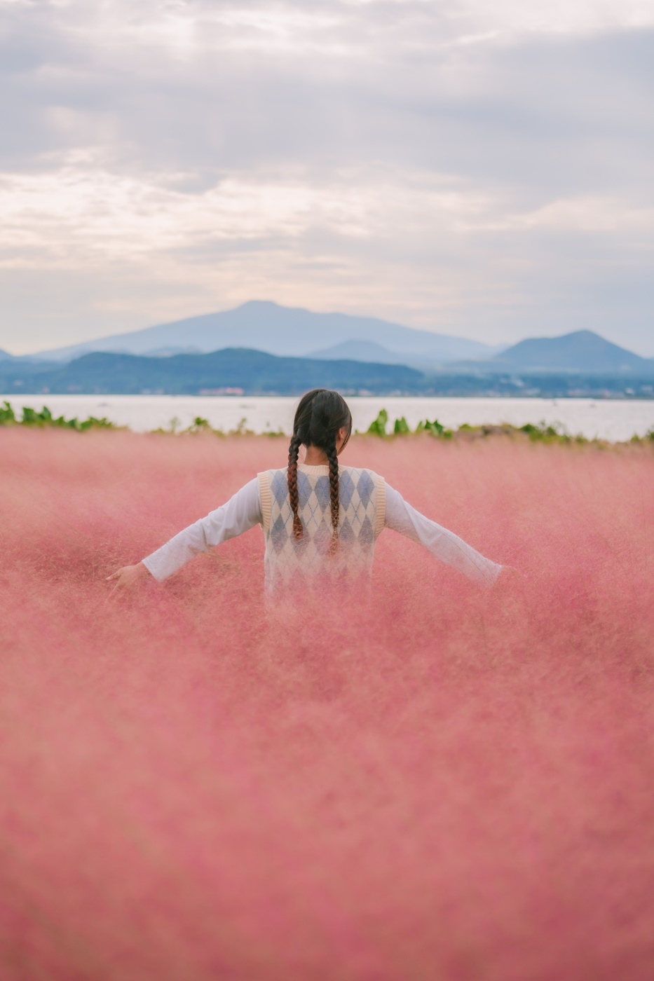 韓國濟州島牛島花園四季花卉與自然景觀