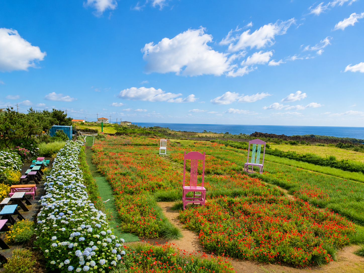 韩国济州岛牛岛花园四季花卉与自然花园景观