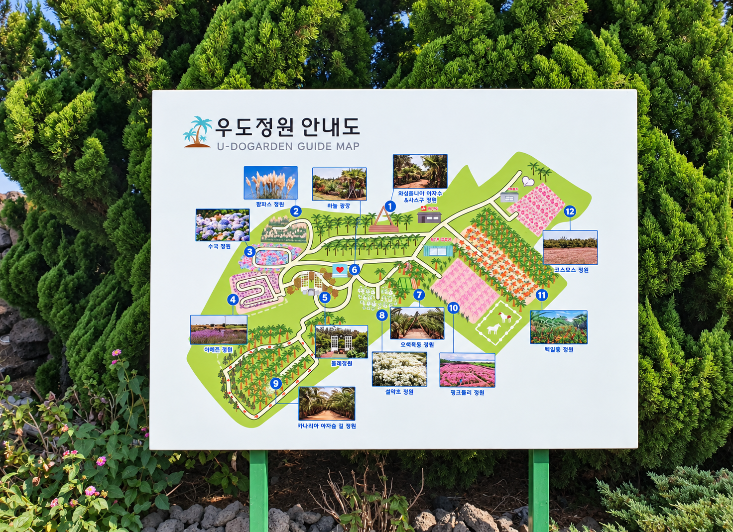 야자수길과 핑크뮬리 수국 팜파스 동백 등 주요 공간을 표시한 우도정원 안내지도